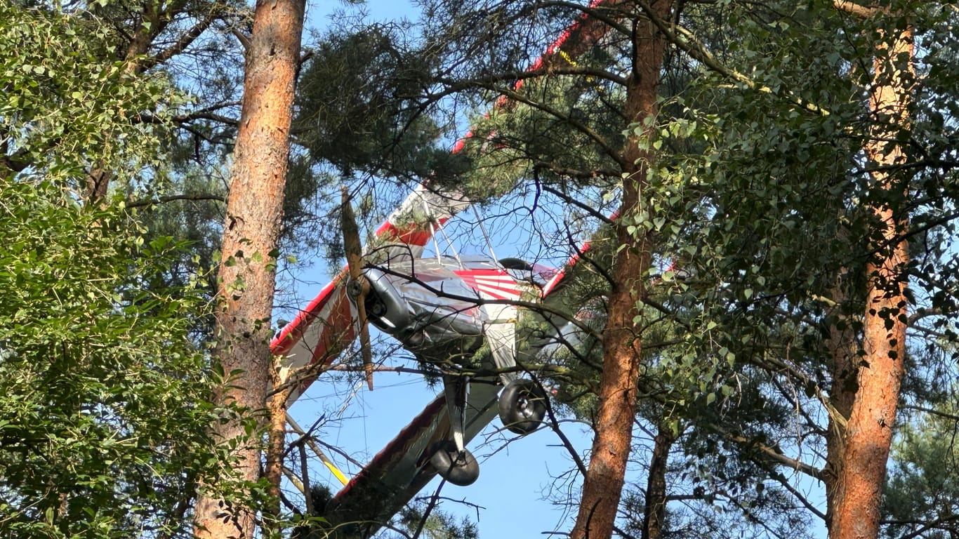 Doppeldecker im Baum: Der Pilot wurde nur leicht verletzt.