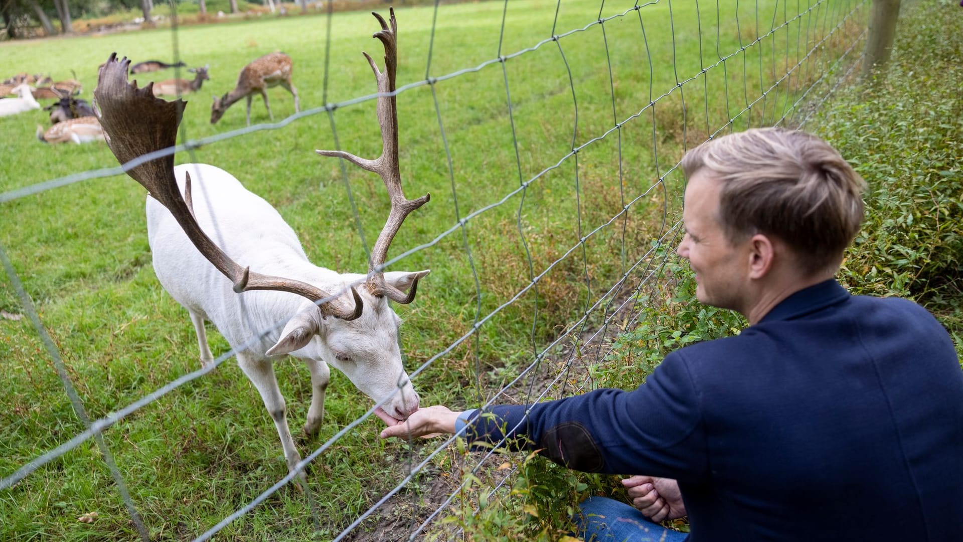 Virologe Hendrik Streeck