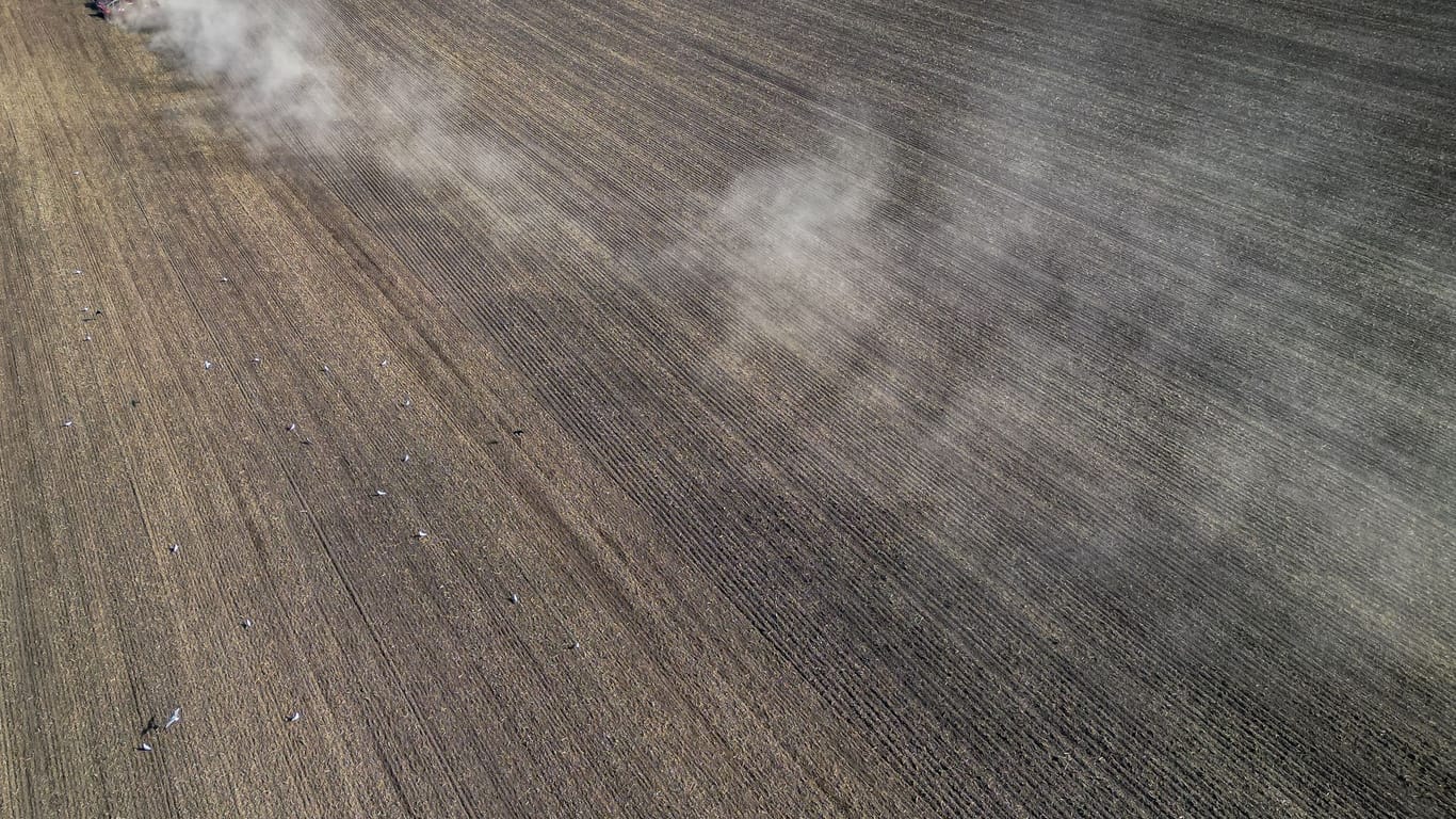 Trockenheit in der Landwirtschaft