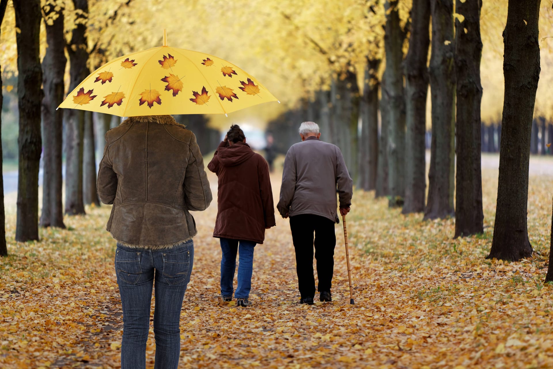 Herbstspaziergang (Symbolbild): Einen Regenschirm sollten Hannoveraner in den kommenden Tagen besser bei sich tragen.