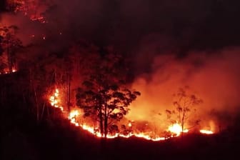 Im Amazonasgebiet in der Nähe von Brasilia wüten verheerende Waldbrände.