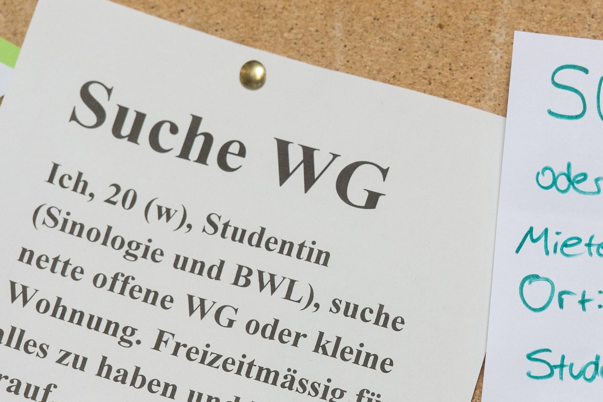 Studentinnen suchen nach einer Wohnung (Symbolbild): Studierende in Hamburg kämpfen mit steigenden Kosten.