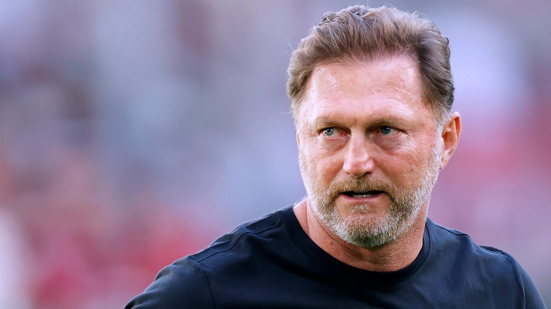 Ralph Hasenhüttl: Der Wolfsburger Trainer hätte sich mehr Stimmung gewünscht.