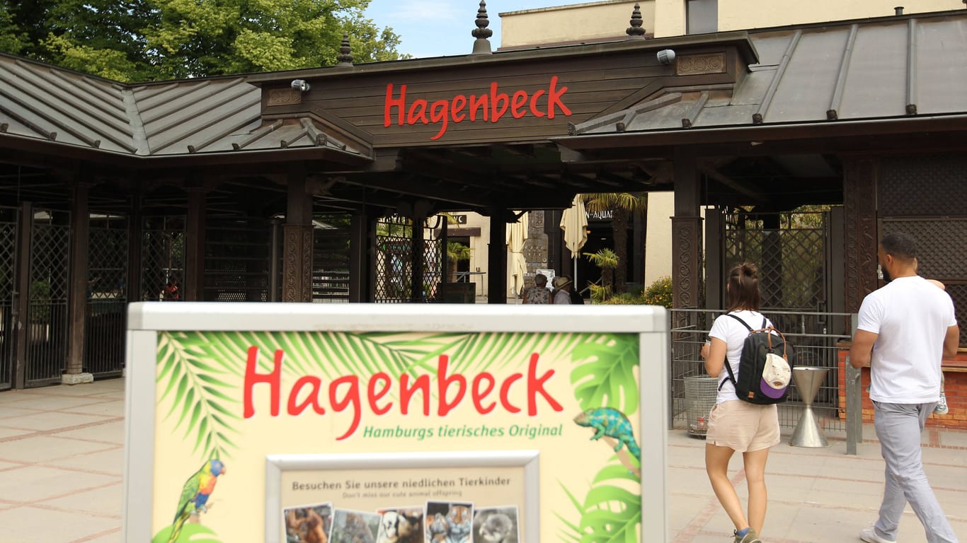 "Hagenbeck - Hamburgs tierisches Original" steht auf deinem Schild vor dem Haupteingang: Der Tierpark macht zunehmend negative Schlagzeilen.