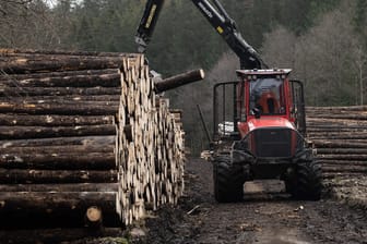 Landesforsten lösen Holzdepots im Harz auf