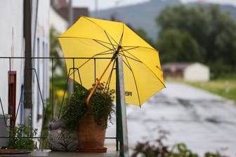 Regenschirm