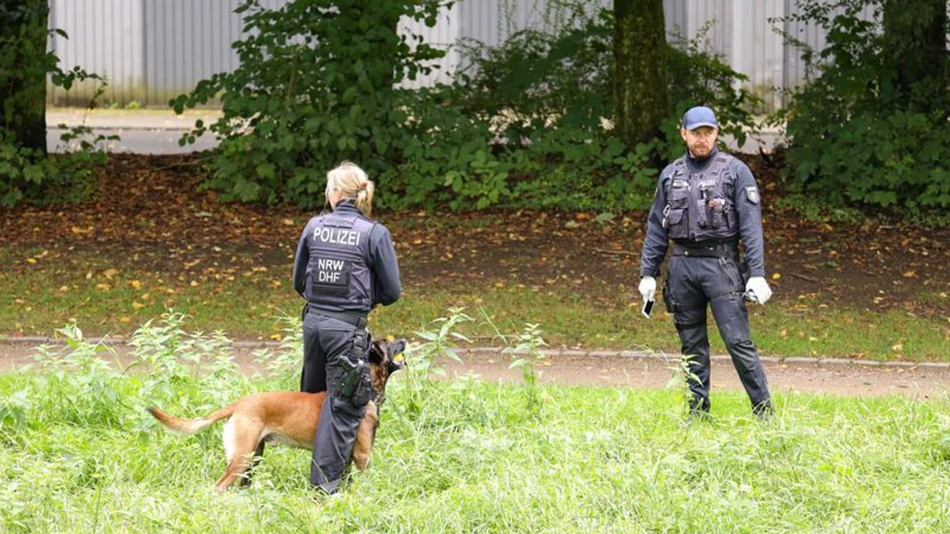 Solingen: Knapp drei Wochen nach dem tödlichen Messerangriff in Solingen sucht die Polizei in der Stadt erneut nach Beweismitteln.