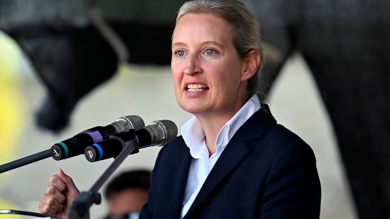 Weidel in Erfurt: Sie nahm zum ersten Mal am Thüringer Wahlkampf teil.