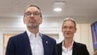 Herbert Kickl und Alice Weidel: Zwischen FPÖ und AfD gibt es viele Gemeinsamkeiten.