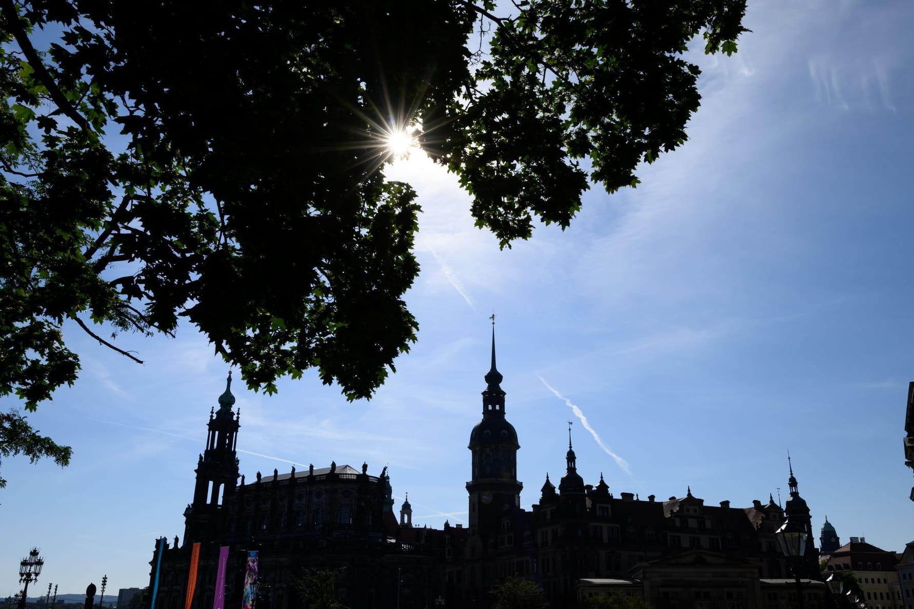 Sommer in Dresden