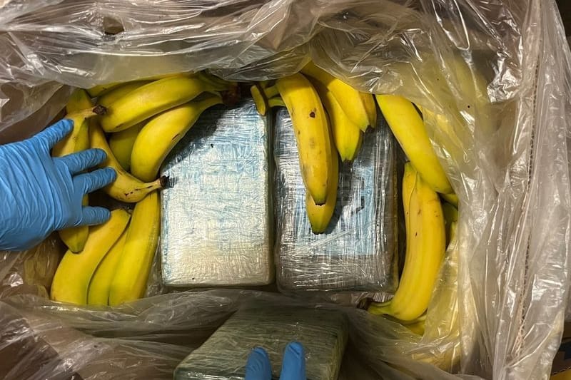 Ermittler zeigen Pakete mit Kokain versteckt in einer Bananenkiste: Den Drogenhändlern scheint ein teurer Irrtum unterlaufen zu sein.