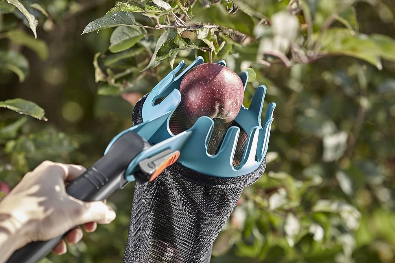 Fleißige Erntehelfer: Die besten Obstpflücker von Gardena, Fiskars, Wolf-Garten und Co. im Überblick.