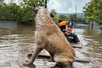 Einsatzkräfte retten einen Hund im überschwemmten Gebiet in Rumänien.