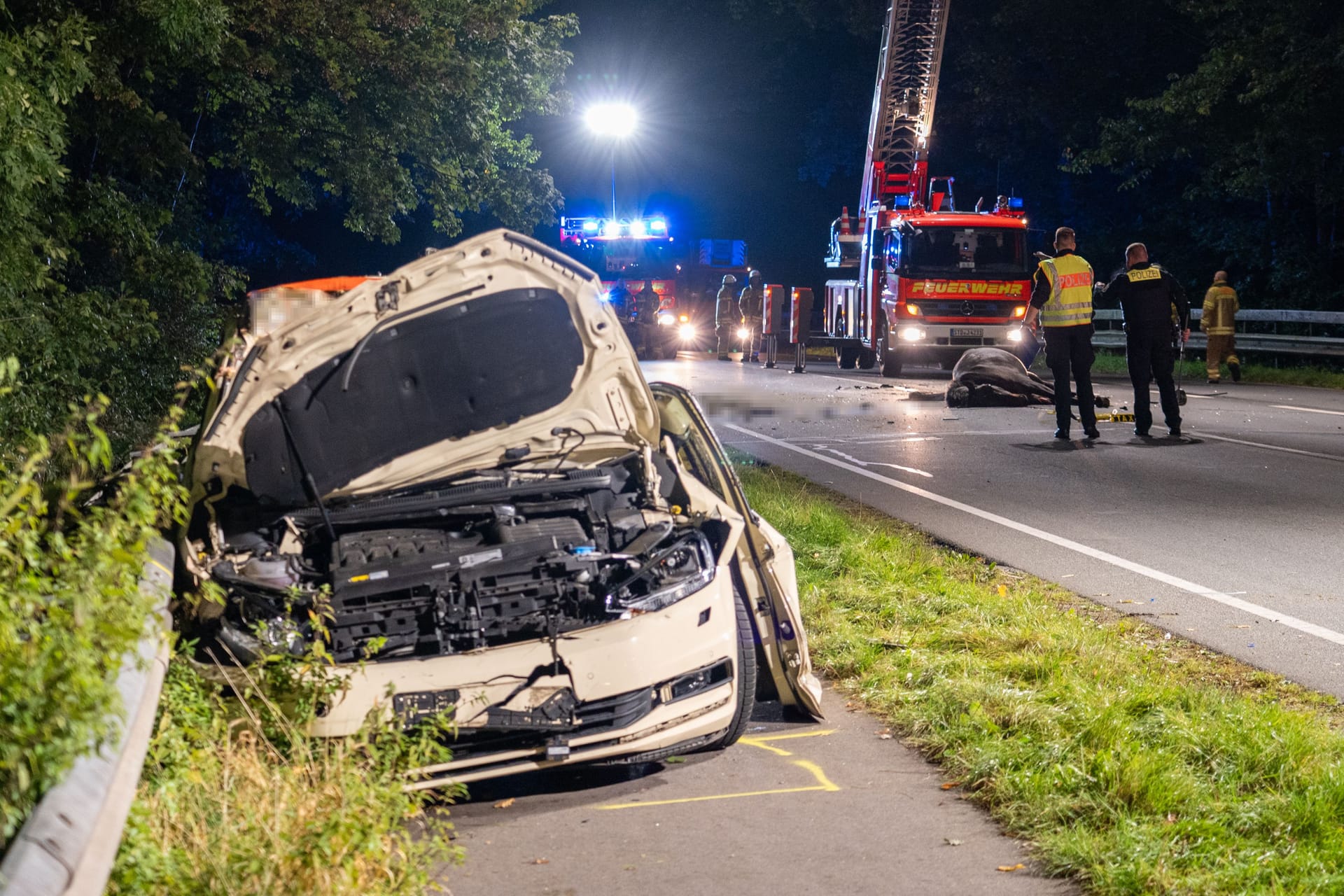 Unfallstelle im Landkreis Stade: Wo die beiden Tiere herkamen, war zunächst unklar.