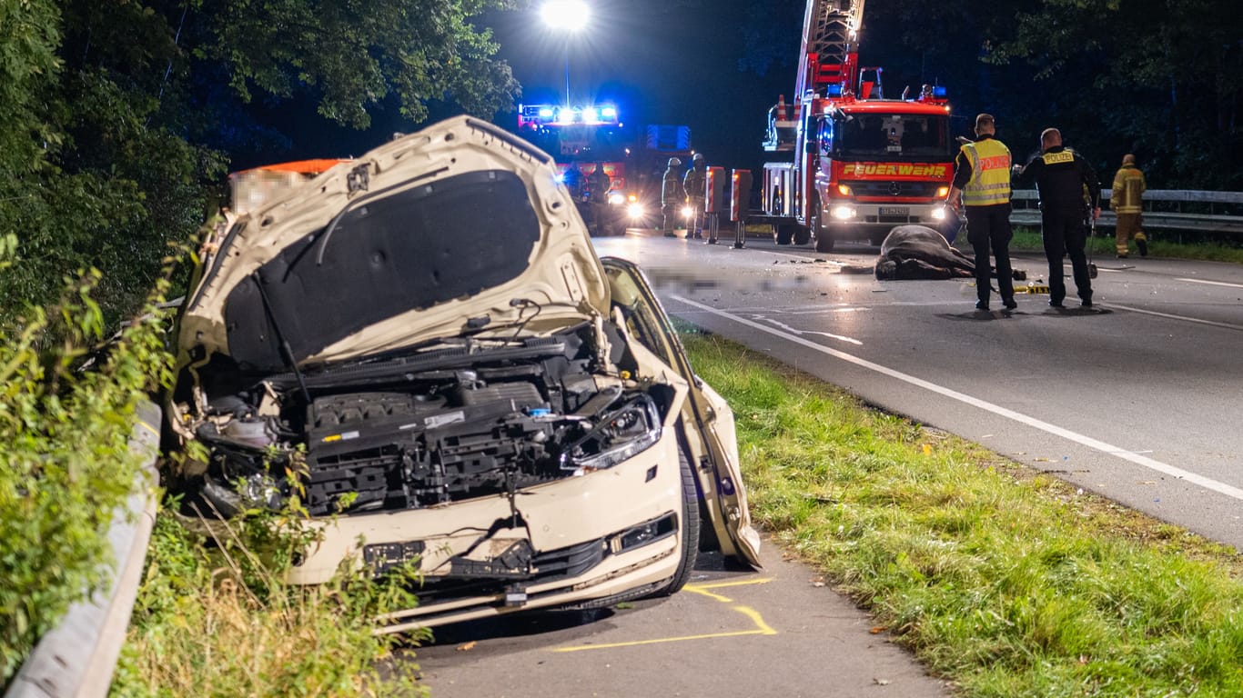 Unfallstelle im Landkreis Stade: Wo die beiden Tiere herkamen, war zunächst unklar.