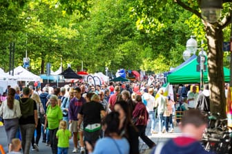 Die Festmeile zum Entdeckertag: Hier stellen sich Institutionen und Unternehmen aus der Region vor.