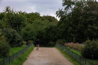 Ein Gebiet im Westen von Paris: Hier wurde die Leiche der Studentin gefunden.