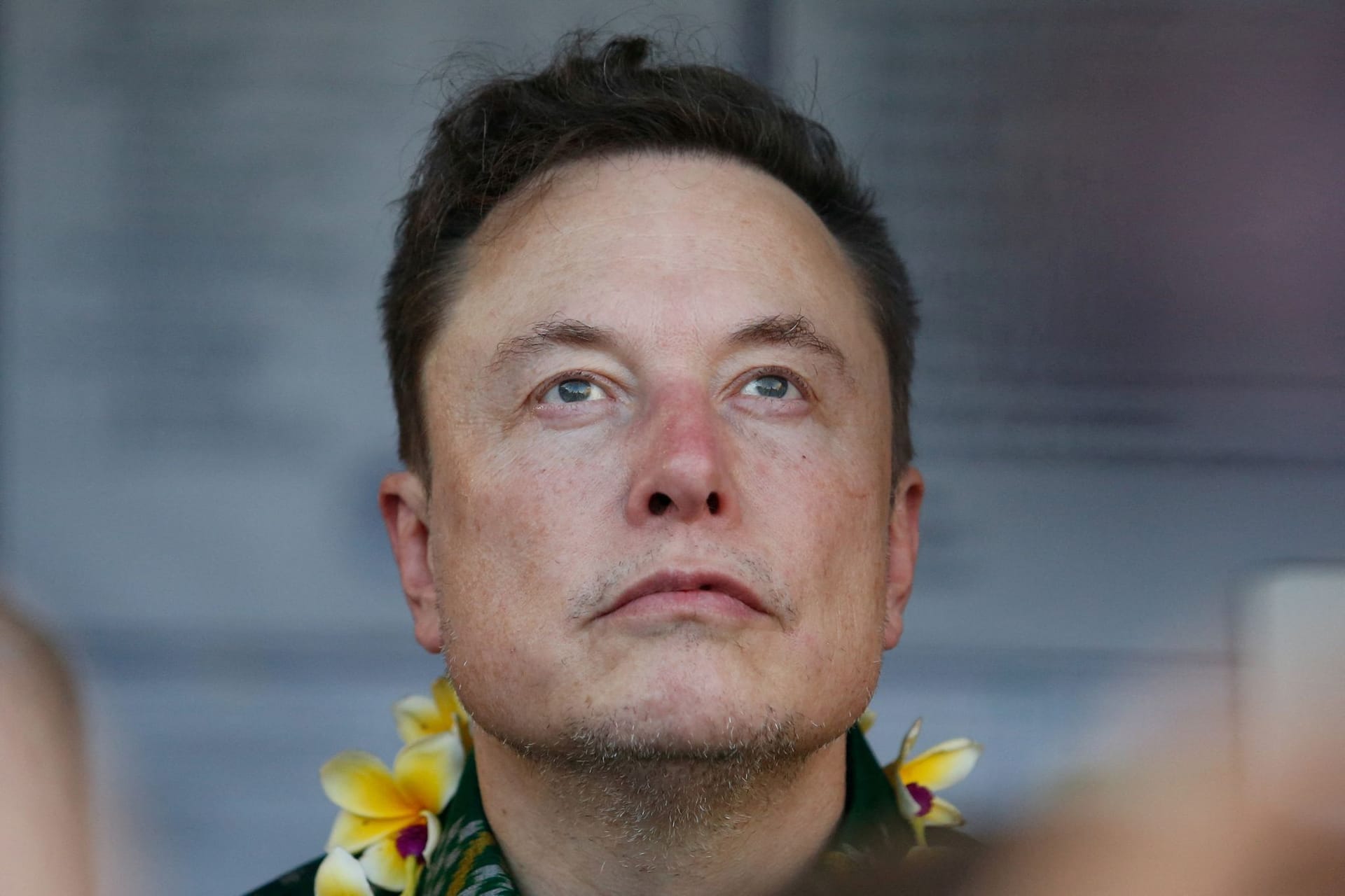 AUSTRALIA-MISINFORMATION/MUSK