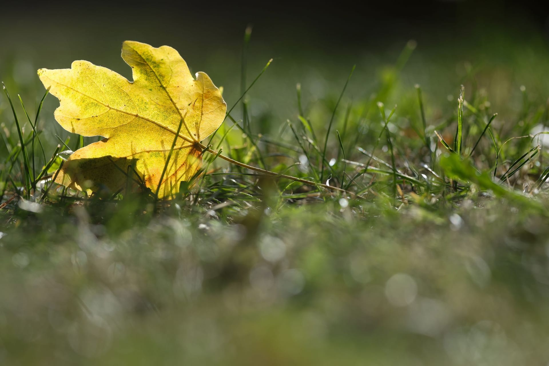 Wetter in Baden-Württemberg