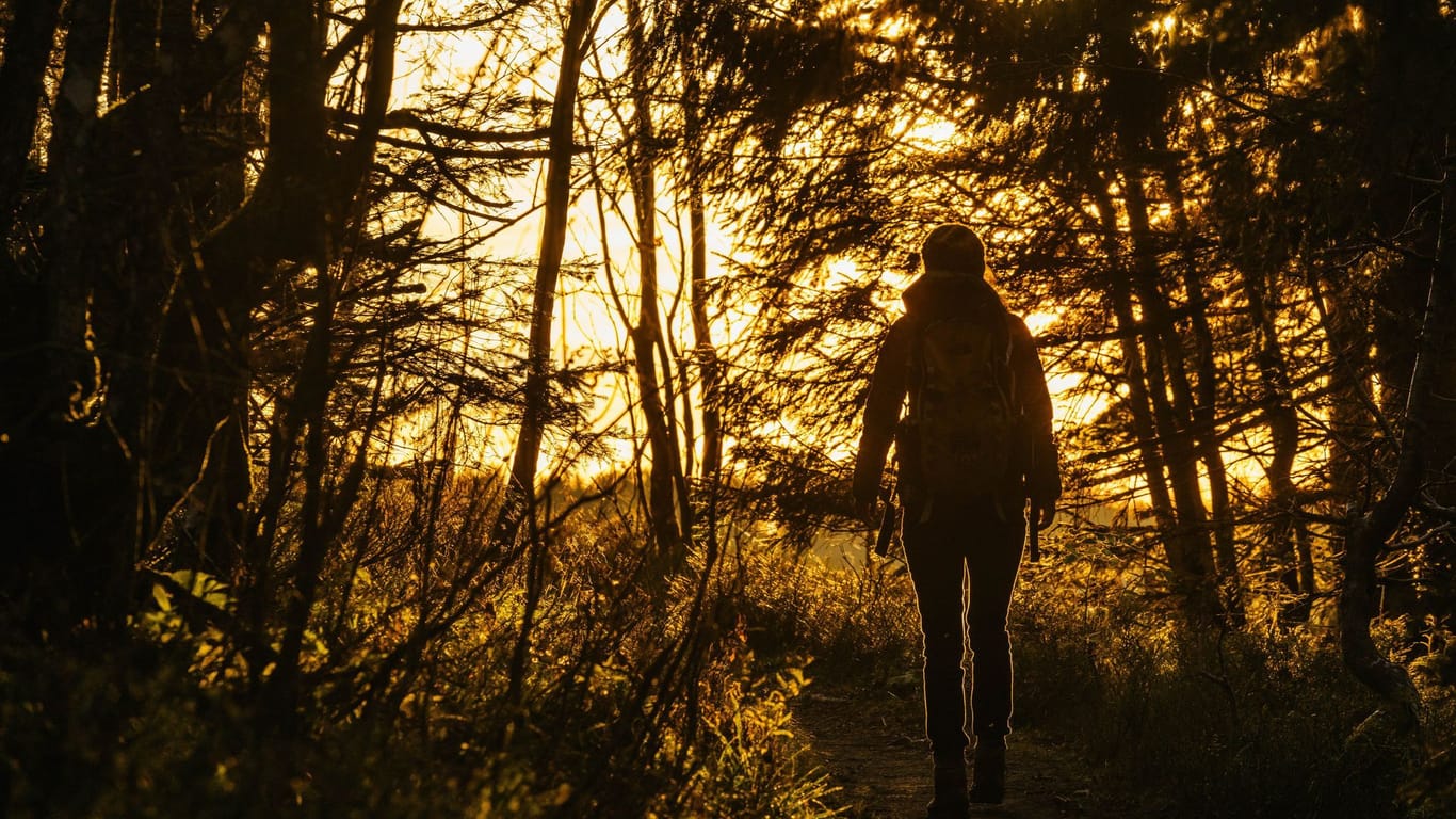 Eine Frau wandert am Feldberg