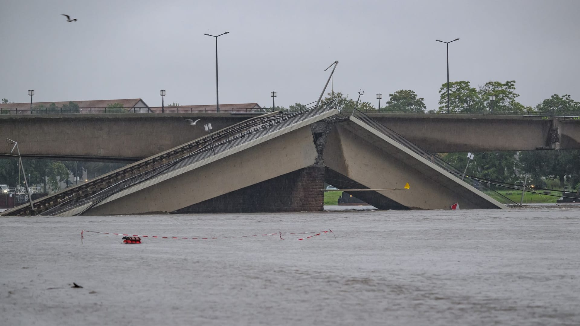 Die Hochwasser führende Elbe fließ an der teileingestürzten Carolabrücke entlang. Durch Brückenteile im Wasser werde sich elbaufwärts das Wasser aufstauen.