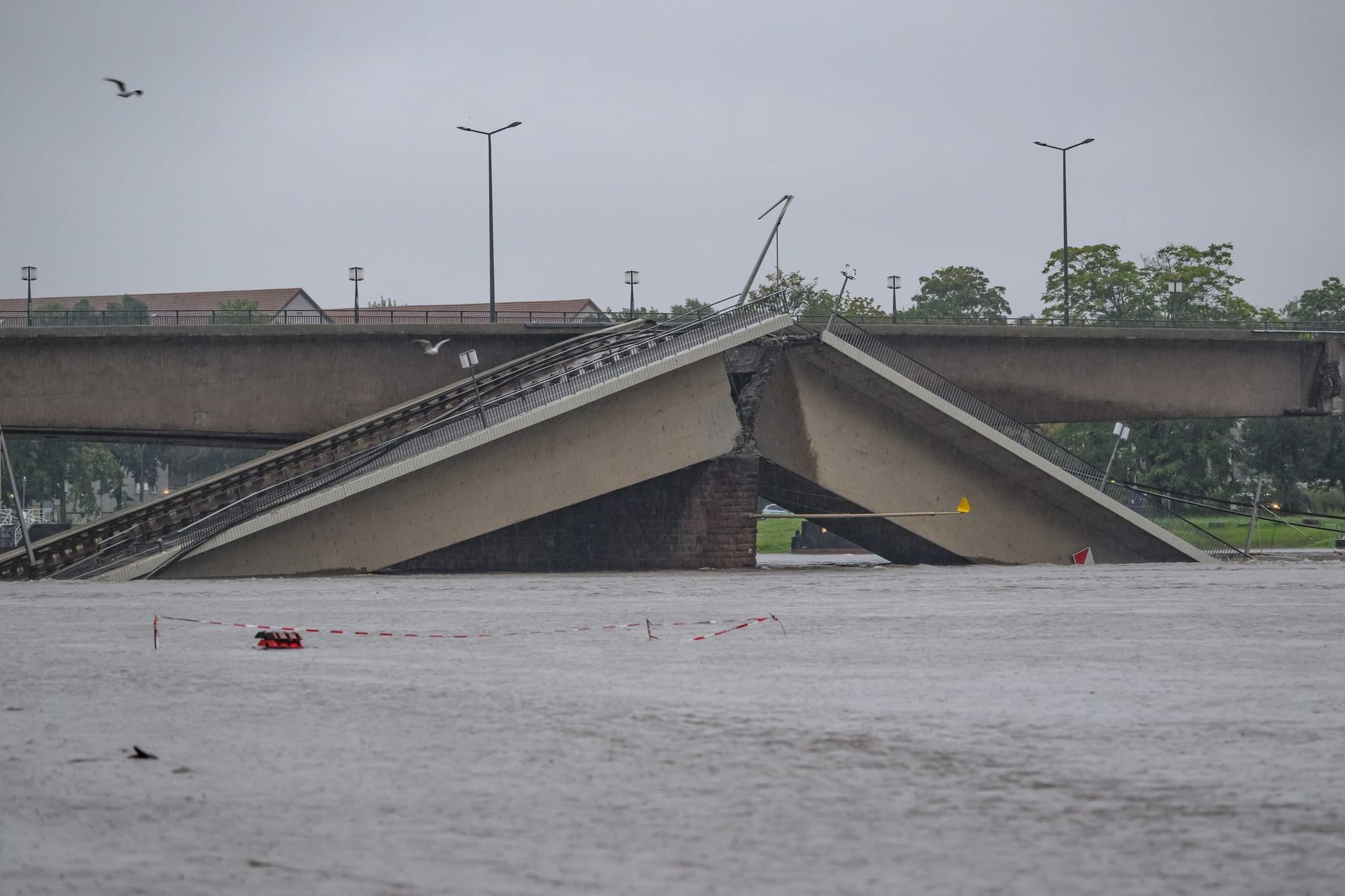 Die Hochwasser führende Elbe fließ an der teileingestürzten Carolabrücke entlang. Durch Brückenteile im Wasser werde sich elbaufwärts das Wasser aufstauen.