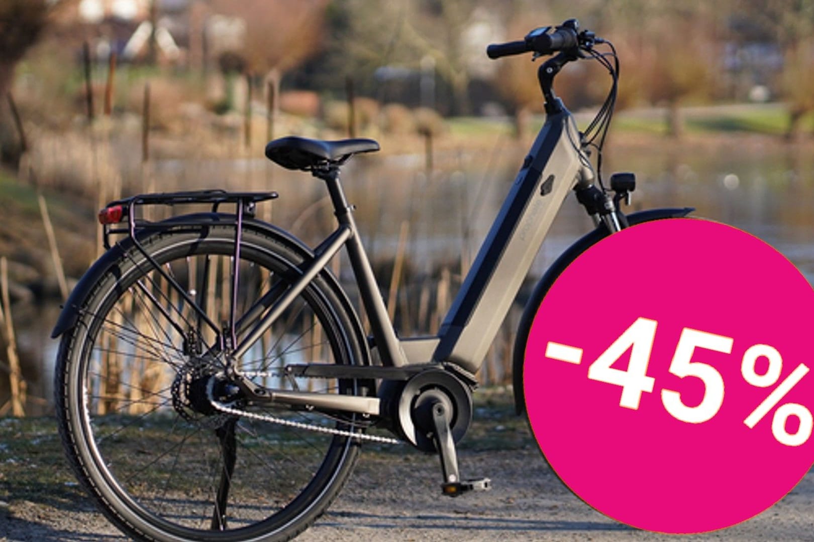 Bike-Sale im Aldi-Onlineshop: Das E-Bike Geniesser 3.3 von Prophete sichern Sie sich aktuell mit über 40 Prozent Rabatt so günstig wie nie.