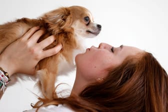 Ein Mädchen mit einem Chihuahua (Symbolbild): Für die Tochter war der Vorfall traumatisch.