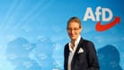 Alice Weidel: Die AfD ist an konstruktiven Lösungen gar nicht interessiert, sagt Daniel Mullis.