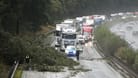 Der Verkehr staut sich hinter einem umgestürzten Baum auf der A27: Hier mussten Einsatzkräfte die Fahrbahn räumen.