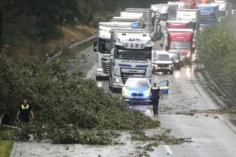 Der Verkehr staut sich hinter einem umgestürzten Baum auf der A27: Hier mussten Einsatzkräfte die Fahrbahn räumen.