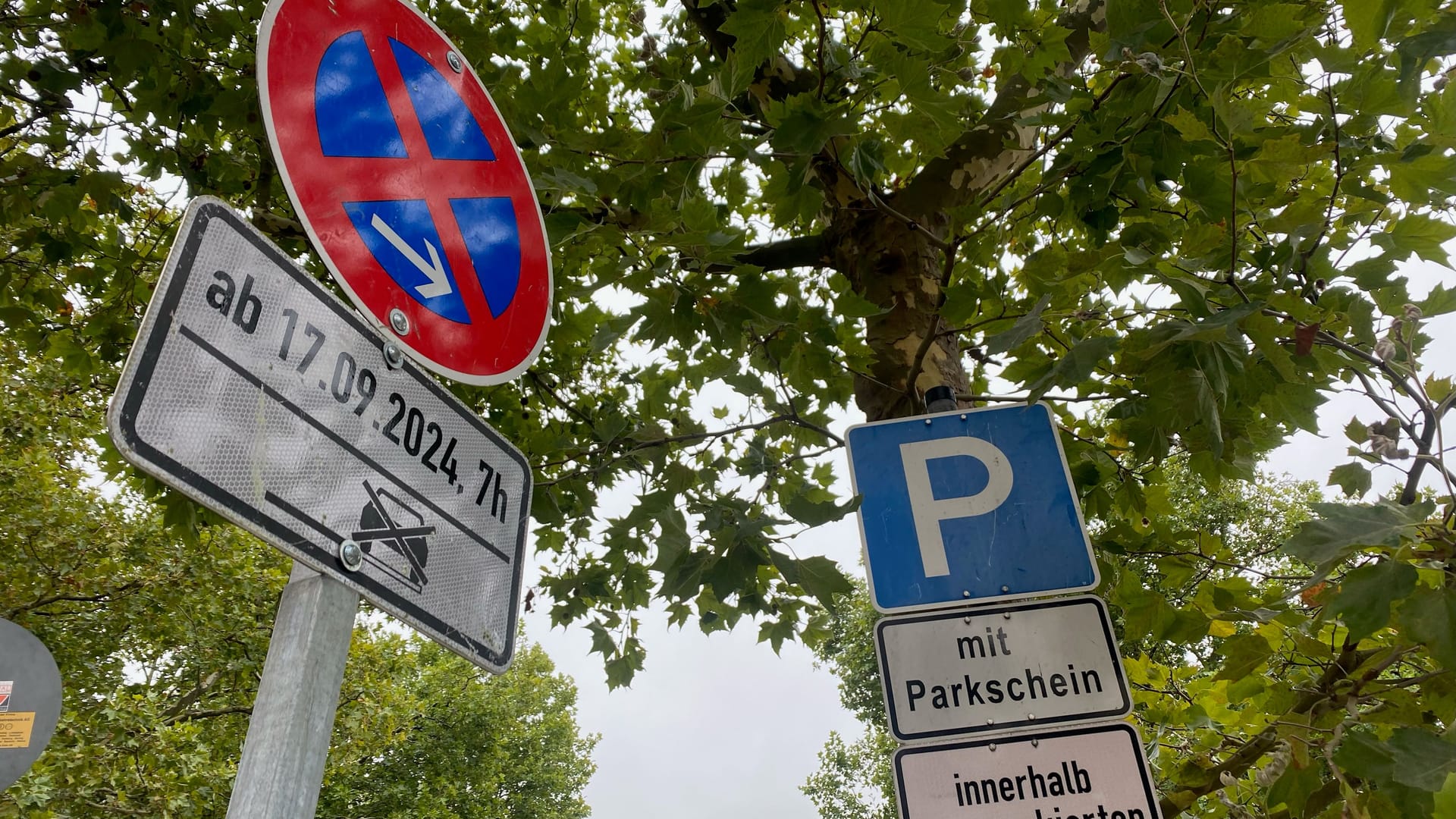 Beschilderung an der Baustelle für den neuen Park: Absolutes Halteverbot gilt hier seit heute.