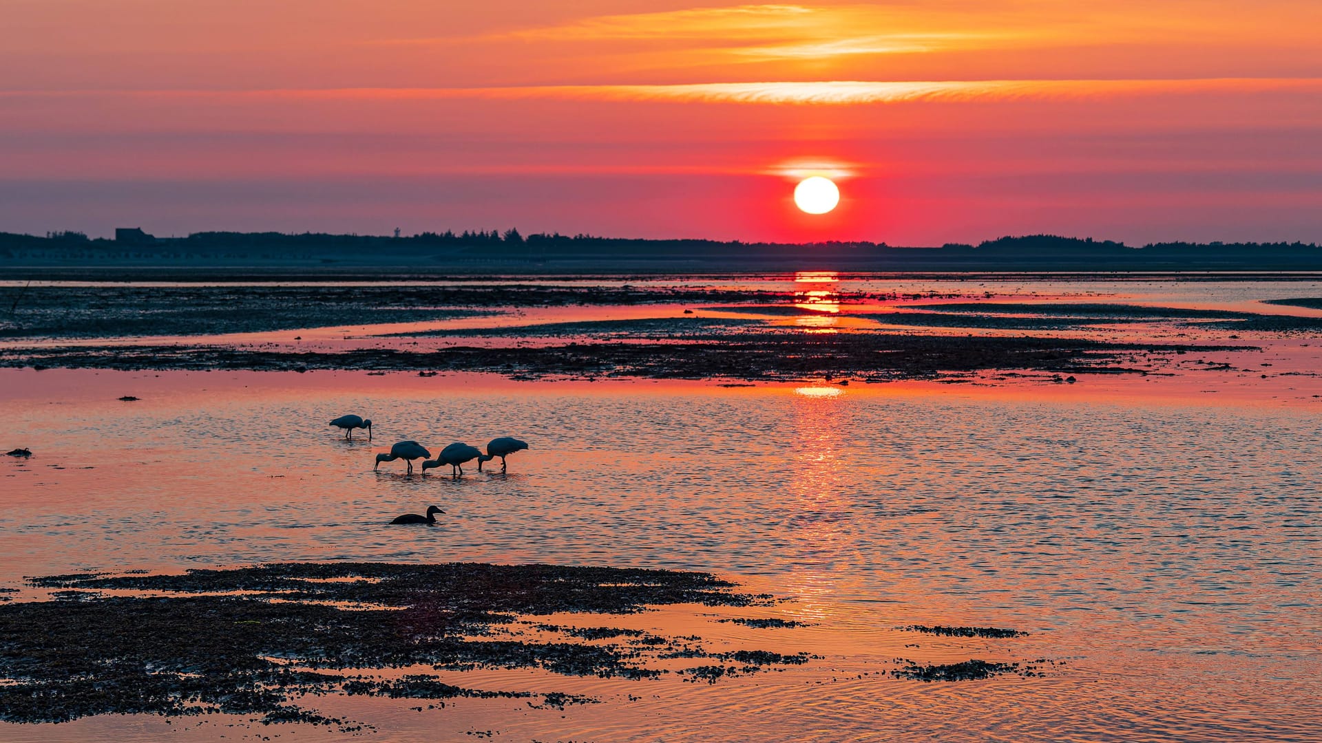 imago images 0443818600 imago images 0443818600