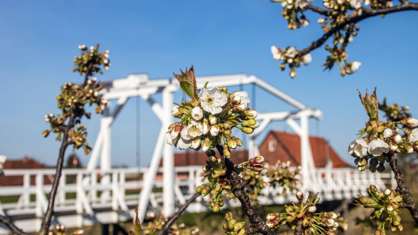 Idylle im Alten Land: Die Hogendiekbrücke in Steinkirchen wurde nach dem Vorbild der alten holländischen Zugbrücken gebaut.