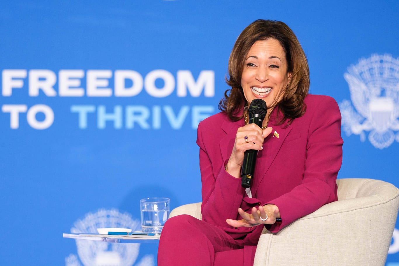 Kamala Harris: Wladimir Putin machte der Demokratin ein vergiftetes Kompliment, meint Wladimir Kaminer.