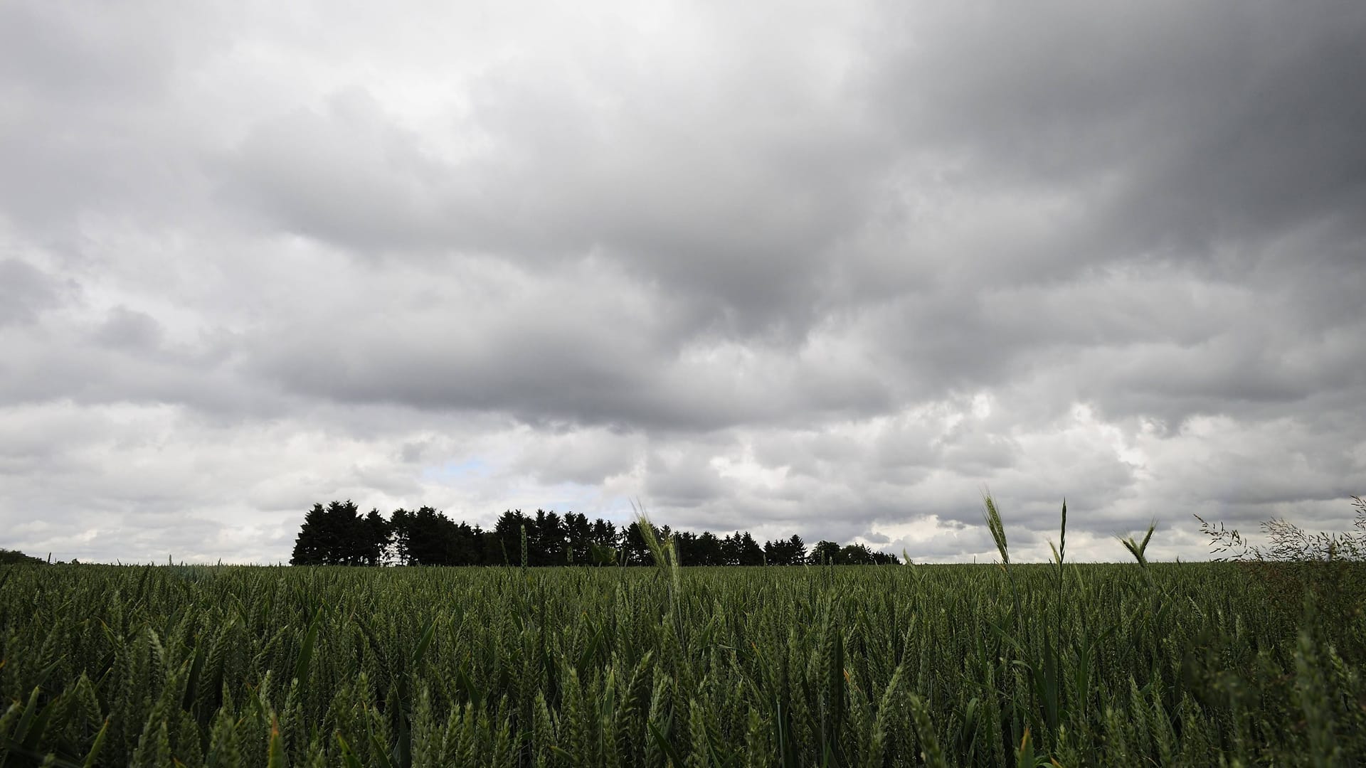 Dunkle Wolken (Symbolbild): Nach dem Hoch wird es erst mal nass.