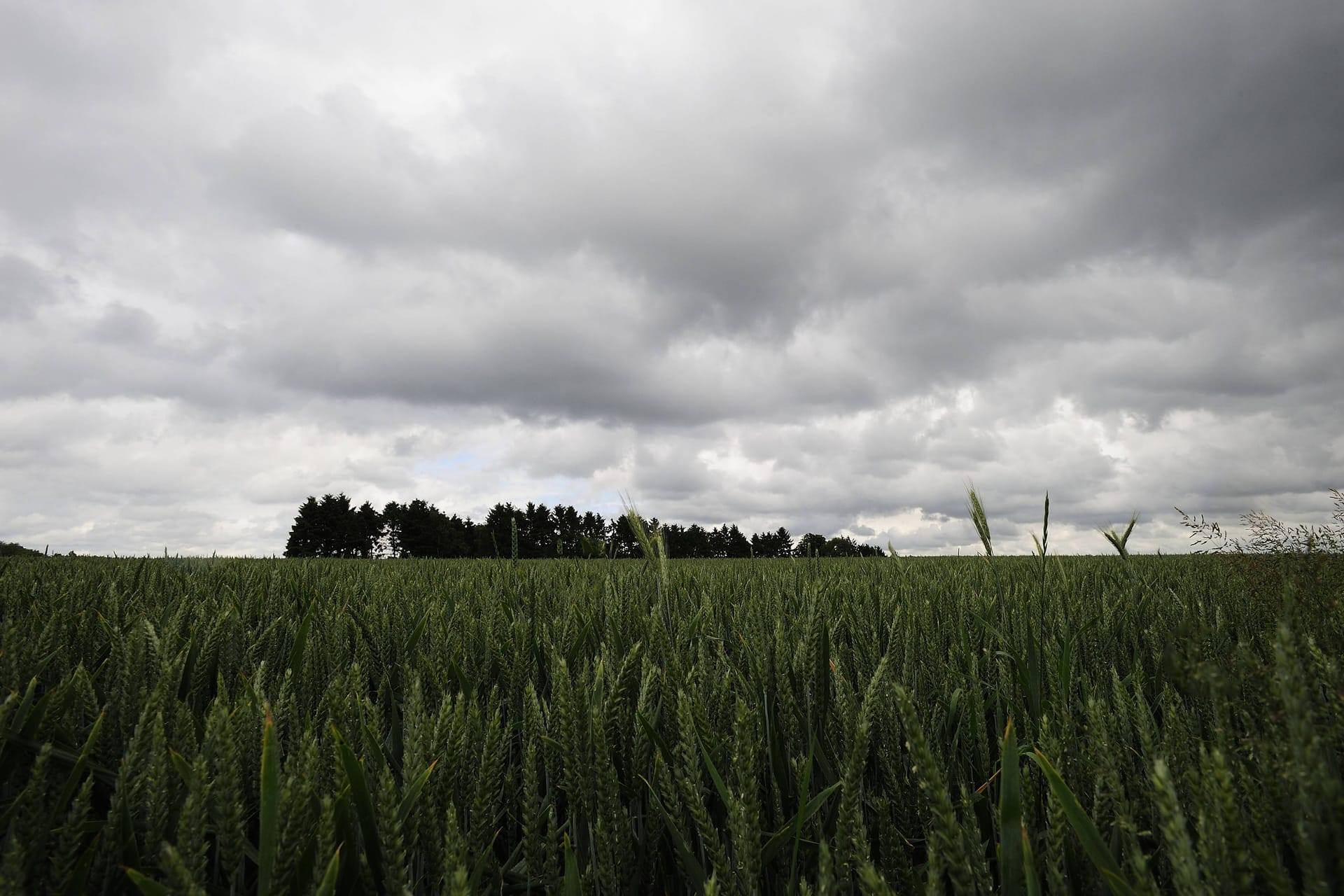 Dunkle Wolken (Symbolbild): Nach dem Hoch wird es erst mal nass.