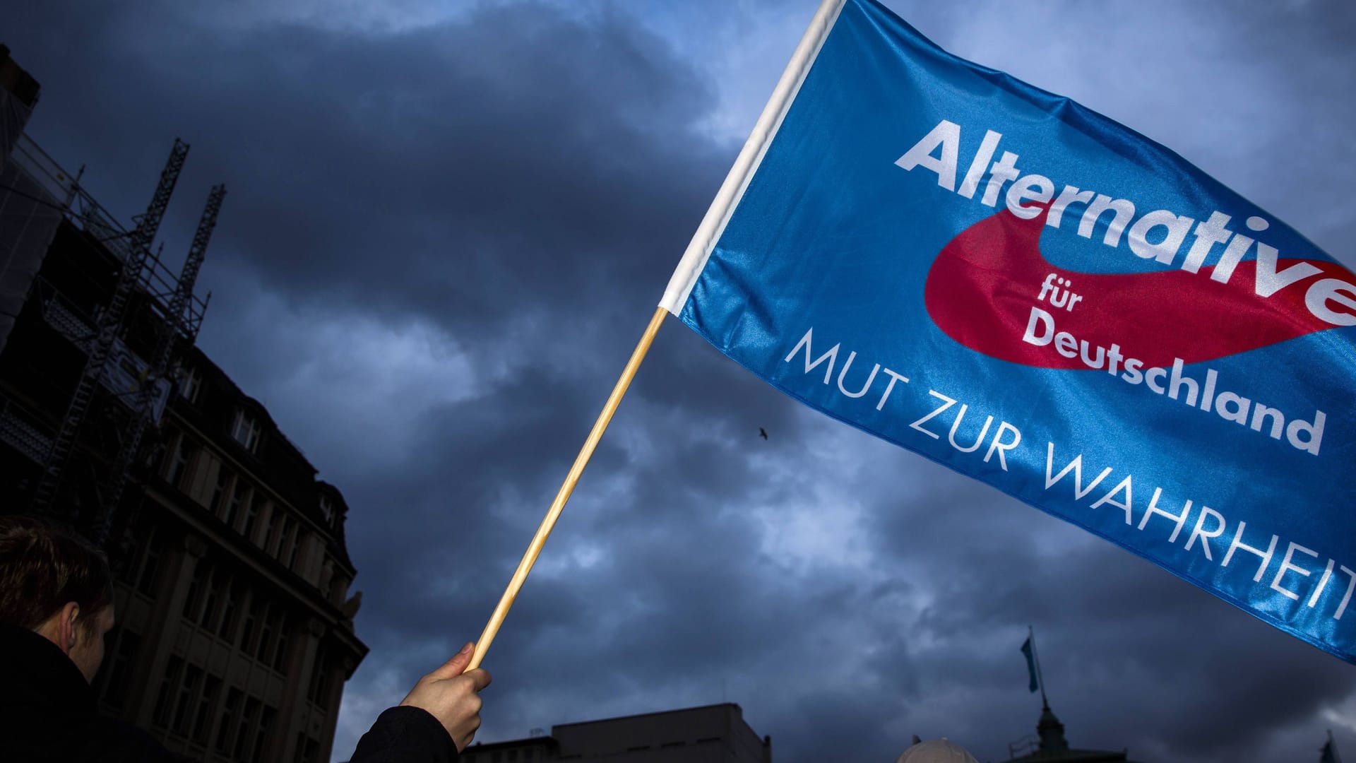 Fahne der AfD (Symbolbild): Bis heute wurden nur zwei Parteien in der Bundesrepublik Deutschland verboten.