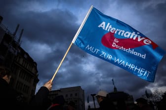 Fahne der AfD (Symbolbild): Bis heute wurden nur zwei Parteien in der Bundesrepublik Deutschland verboten.