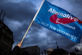 Fahne der AfD (Symbolbild): Bis heute wurden nur zwei Parteien in der Bundesrepublik Deutschland verboten.