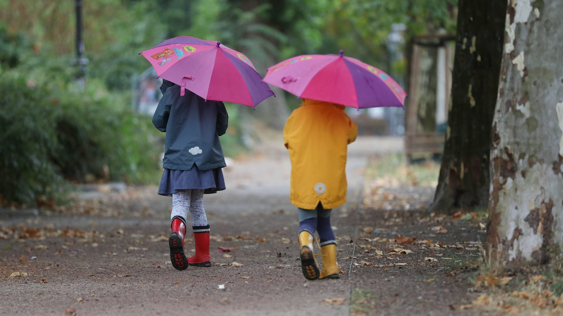 Mit den spätsommerlichen Temperaturen ist Schluss: In den nächsten Tagen wird es herbstlich.