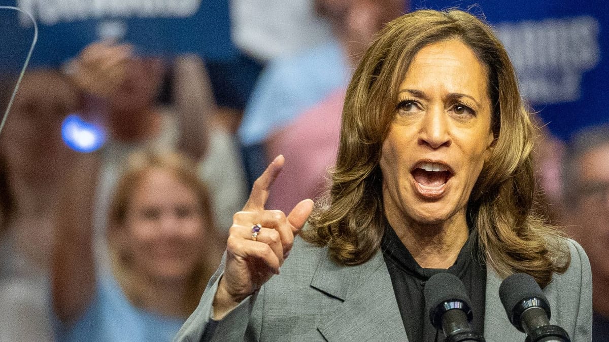 US-Wahl: Kamala Harris bekommt Hilfe von unerwarteter Seite