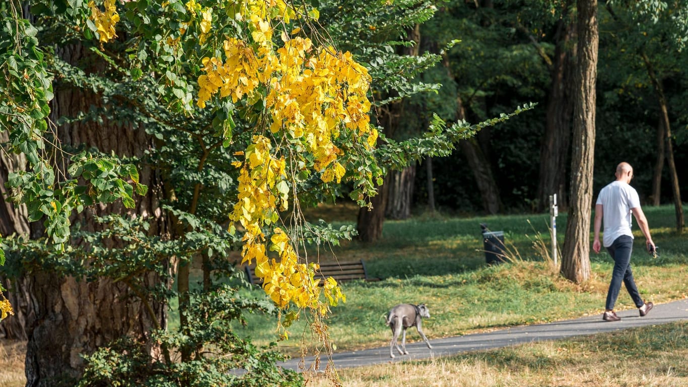 Vor dem meteorologischen Herbstanfang