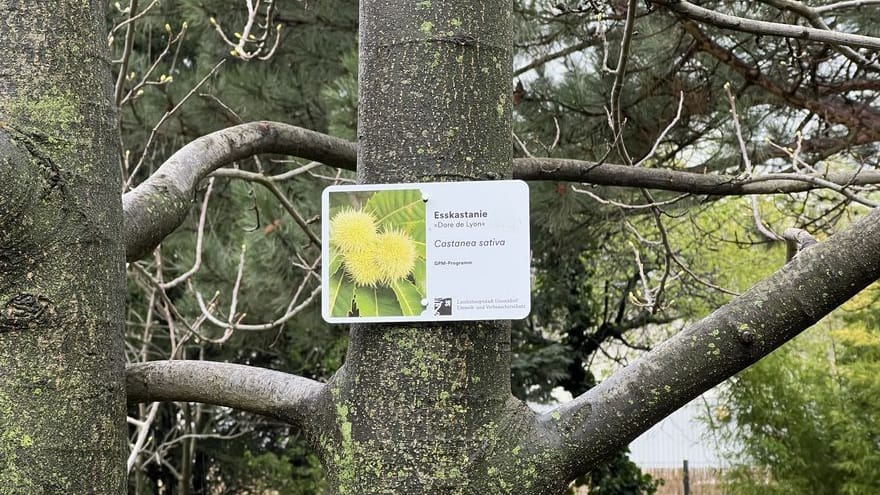 Mit einer Führung durch den phänologischen Garten wird die "Woche der Klimaanpassung" eröffnet.