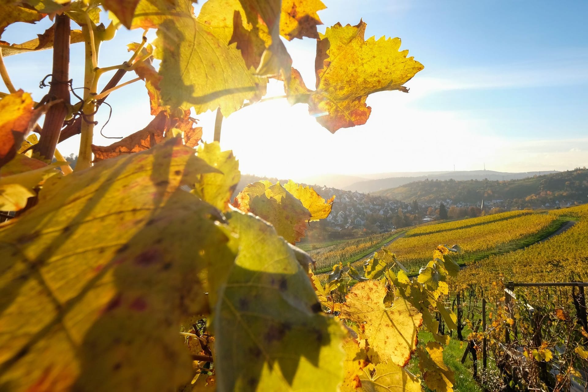 Herbstsonne bei Stuttgart