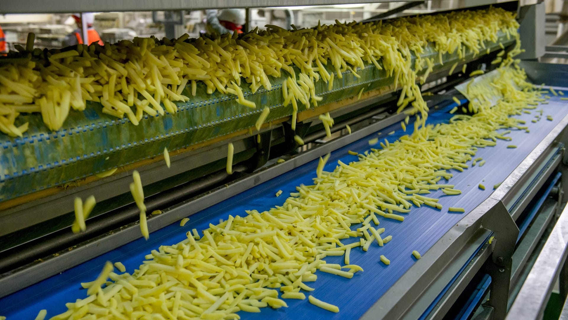 Herstellung von Pommes Frites in einer Fabrik von McCain : Das Unternehmen plant einen Standort im Landkreis Peine.