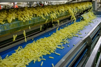 Herstellung von Pommes Frites in einer Fabrik von McCain : Das Unternehmen plant einen Standort im Landkreis Peine.