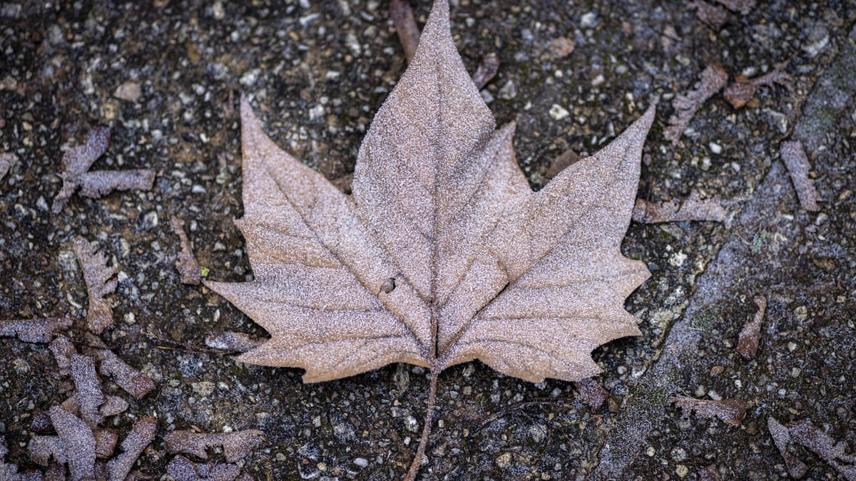 Glätte, Frost und Schneeregen drohen