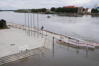 Frankfurt (Oder): Der Pegelstand der Oder steigt stetig an.