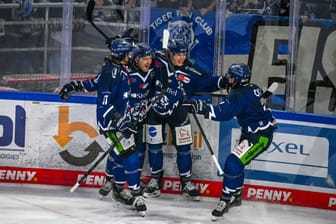 Straubing Tigers - Düsseldorfer EG